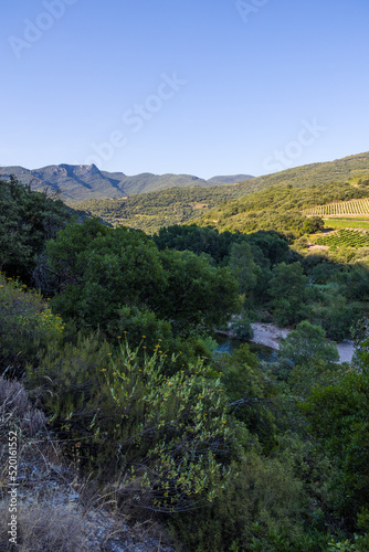 Montagnes et vignobles autour de l'Orb au Hameau de Ceps à Roquebrun, dans le Parc naturel régional du Haut-Languedoc