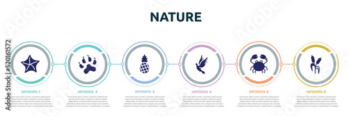 nature concept infographic design template. included starfish, pawprints, pine, dove, crab, bulrush icons and 6 option or steps.