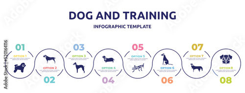 dog and training concept infographic design template. included bichon frise, mastiff, bedlington terrier, bas hound, locust, pointer dog, bernese mountain dog, moustache icons and 8 option or steps.