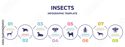 insects concept infographic design template. included saluki, english cocker spaniel, bas houd, psocoptera, bichon, red soldier beetle, bullmastiff, sawfly icons and 8 option or steps.