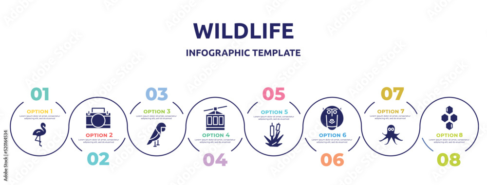wildlife concept infographic design template. included flamingo, animal aid, parrot, cable car, bulrush, baboon, octopus, hive icons and 8 option or steps. wildlife concept infographic design template. included flamingo, animal aid, parrot, cable car, bulrush, baboon, octopus, hive icons and 8 option or steps.