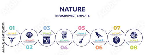 nature concept infographic design template. included bull skull, chimpanzee, veterinarian, food stand, vaccine, crow, tornado, pearl icons and 8 option or steps.