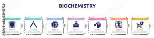 biochemistry concept infographic design template. included wire gauze, divider, brackets, librarian, mechanics, vitruvian man, biotechnology icons and 7 option or steps.