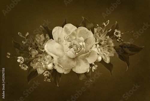 Peony and freesia flowers w...