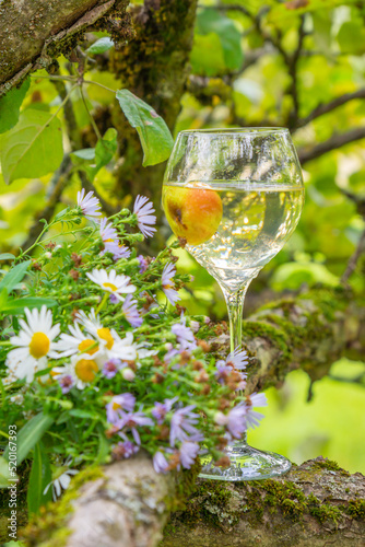A glass of wine on the background of nature