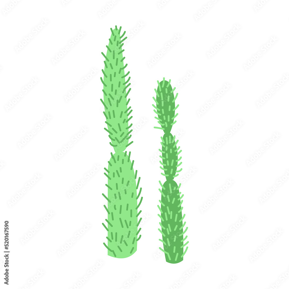 Big cactus. vector illustration. mexican cactus desert plant Big cactus. vector illustration. mexican cactus desert plant