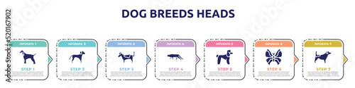 dog breeds heads concept infographic design template. included afghan hound, springer spaniel, jack russell terrier, snowshoe cat, poodle, leaf butterfly, jack russel terrier icons and 7 option or