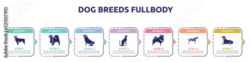 dog breeds fullbody concept infographic design template. included newfoundland, japanese chin, pug, egyptian cat, pomeranian, dalmatian, bas houd icons and 7 option or steps.