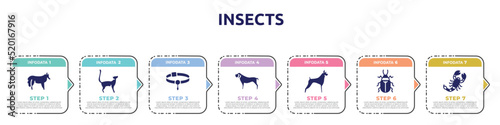 insects concept infographic design template. included shetland sheepdog, bengal cat, pet collar, mastiff, boxer, pollen beetle, scorpio icons and 7 option or steps.