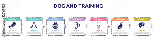 dog and training concept infographic design template. included pet comb, couple of dogs, cat box, sea horse, rope toy, dog seating, dog chasing tail icons and 7 option or steps.