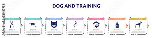 dog and training concept infographic design template. included nail trimmer, feeding the dog, bear head, nymphicus hollandicus, pet shelter, ph test, great dane icons and 7 option or steps.