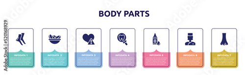 body parts concept infographic design template. included tiptoe feet, vegetarian diet, disease, tooth zoom, drop of liquid, medical doctor specialist, e icons and 7 option or steps.