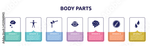 body parts concept infographic design template. included zzz sleep, human body standing, male and female gender, human eye shape, brain body organ, drug abuse, sweat or tear drop icons and 7 option