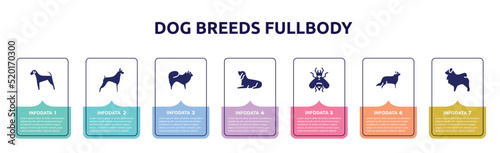 dog breeds fullbody concept infographic design template. included airedale, boxer, chow chow, bas houd, hoverfly, bernese mountain, tibetan mastiff icons and 7 option or steps.