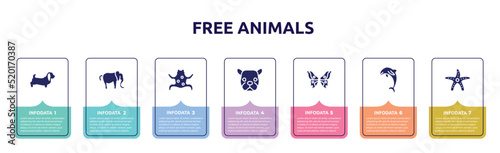 free animals concept infographic design template. included dog with long ears, elephant alone, tropical frop, face of staring dog, butterfly wings, jumping dolphin, starfish with dots icons and 7