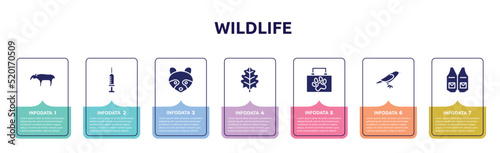 wildlife concept infographic design template. included tapir, syringe, racoon, oak leaf, animal aid, crow, waistcoat icons and 7 option or steps.