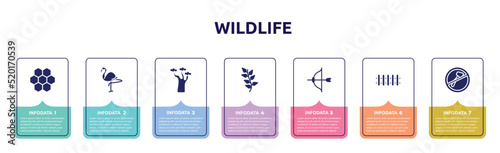 wildlife concept infographic design template. included moss, flamingo, baobab, herb, archery, fence, no cut icons and 7 option or steps.