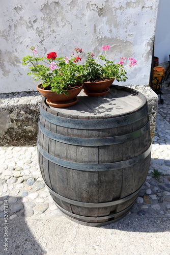 How to use an old barrel on the farm. © shimon