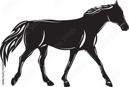 horse silhouette on white background isolated  vector