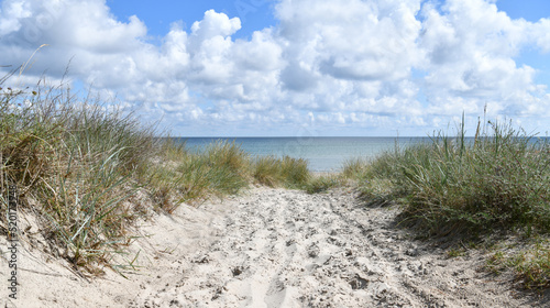 Weg zum Ostseestrand