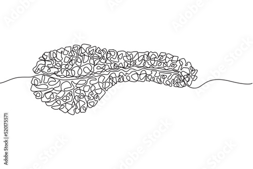 Pancreas Hand drawn icon continuous line drawing. Human organs Creative abstract art background Trendy concept One single line design. Outline simple image black and white color Vector