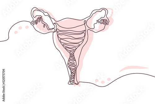 Uterus Hand drawn icon continuous line drawing and pink flat silhouette. Human organs. Medicine trendy concept One single line design. Outline simple image black and white Vector