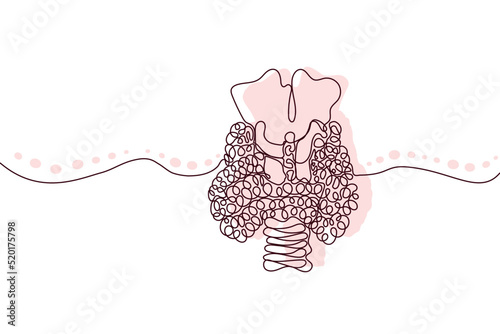 Thyroid Hand drawn icon continuous line drawing and pink flat silhouette. Human organs. Medicine trendy concept One single line design. Outline simple image black and white Vector