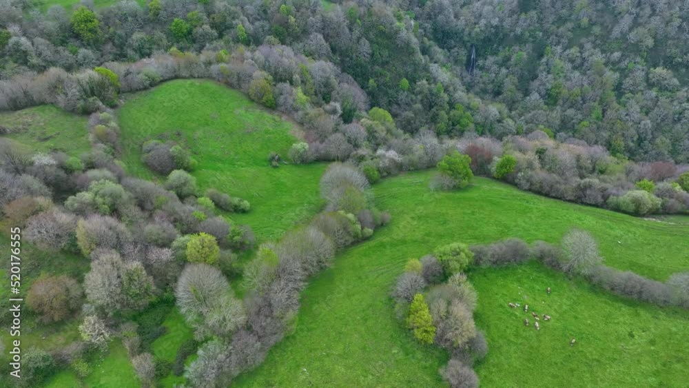 Countryside and Atlantic forest in the surroundings of the Countryside and Atlantic forest in the surroundings of the