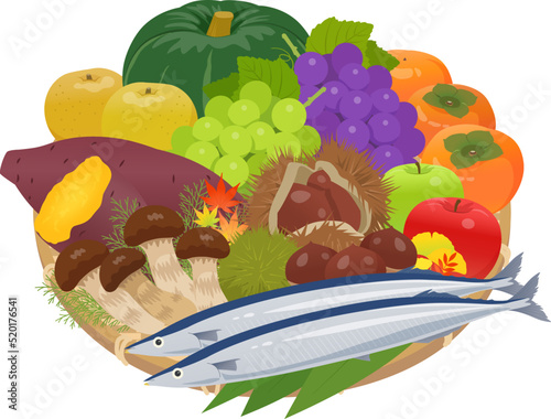 秋の味覚盛り合わせ_ベクターイラスト