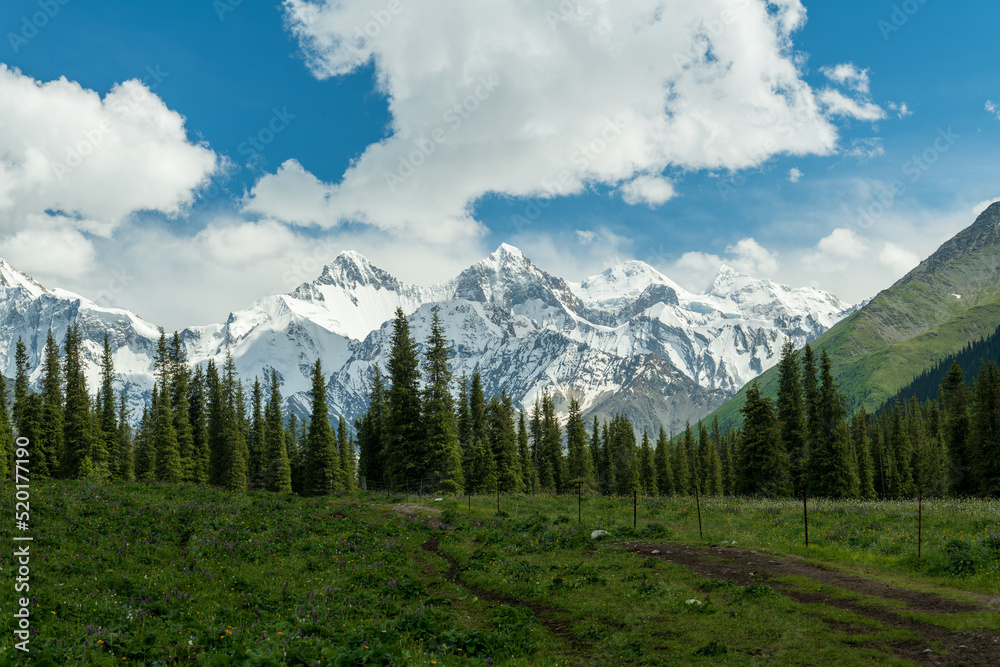 Obraz premium A road to the snow mountain. View of Xiata National Park in summer season.