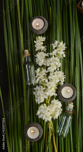 Spa setting with branch orchid with candle  oil bottle  on green leaves background.