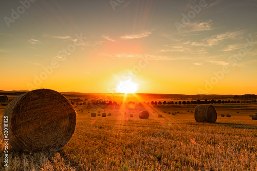 Strohballen im Sonnenuntergang photo