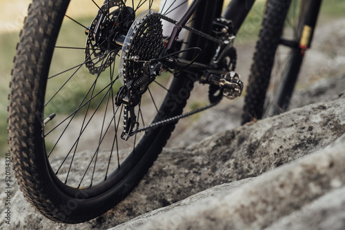 Close Up View of a Bicycle Gear Shifting Mechanism, Mountain Bike Chain