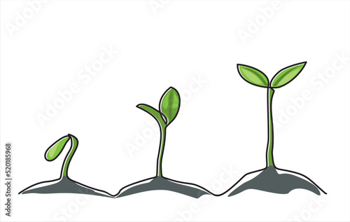 Continuous one line drawing of step of grow plant. Vector illustration