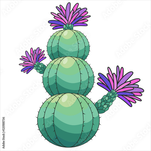 Cute cartoon hand drawn cactus with flowers. Desert plant vector illustration. Prickly plant photo
