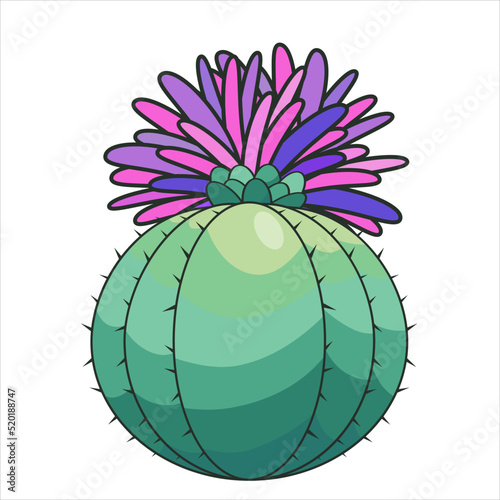 Cute cartoon hand drawn cactus with flowers. Desert plant vector illustration. Prickly plant photo