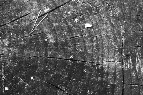 black and white cut wood closeup background texture