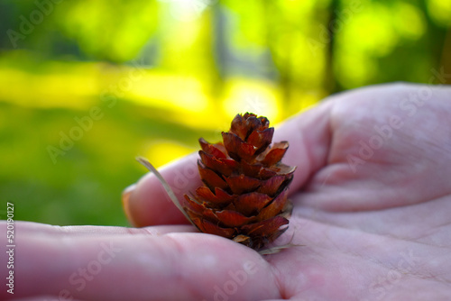 small bump on female palm closeup
