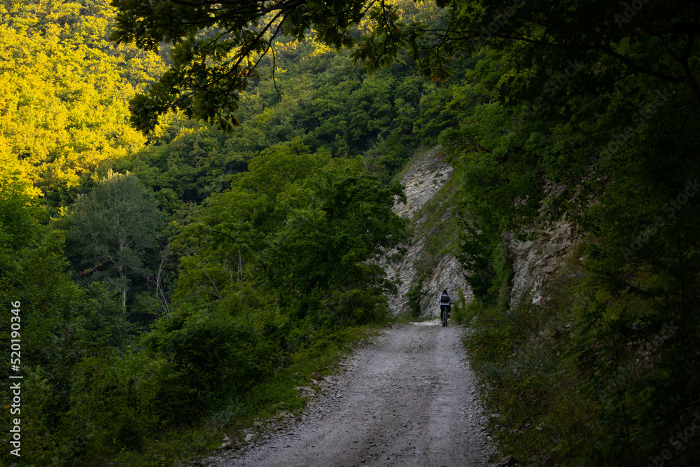 Fototapeta premium cyclist on a forest road