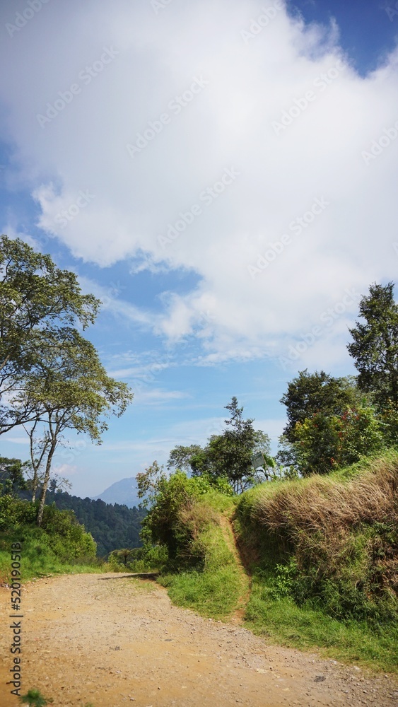 beautiful natural landscape mountains hilly nature panorama, with green forest big trees and green grassy slopes under cloudy blue sky in daytime