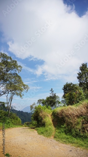 beautiful natural landscape mountains hilly nature panorama  with green forest big trees and green grassy slopes under cloudy blue sky in daytime