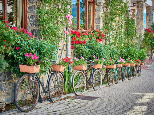 Classic and antique bicycles placed next to a wall. modern floral decoration.