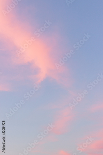 pink clouds in the sunset sky