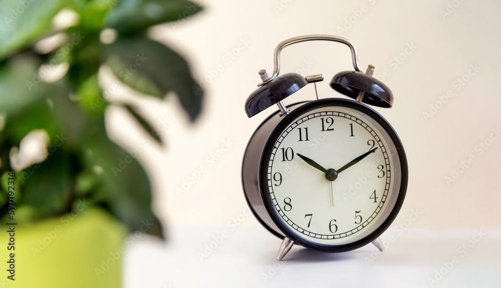 Classic desk alarm clock showing eleven past ten in the morning, green plant on the foreground Classic desk alarm clock showing eleven past ten in the morning, green plant on the foreground