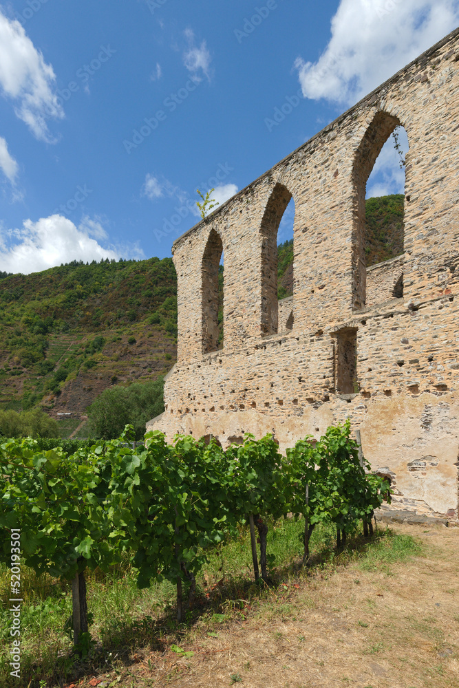 The monastery Stuben at the river Moselle The monastery Stuben at the river Moselle