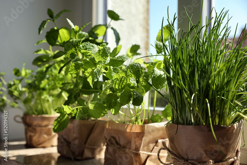 Different aromatic potted herbs on windowsill indoors photo