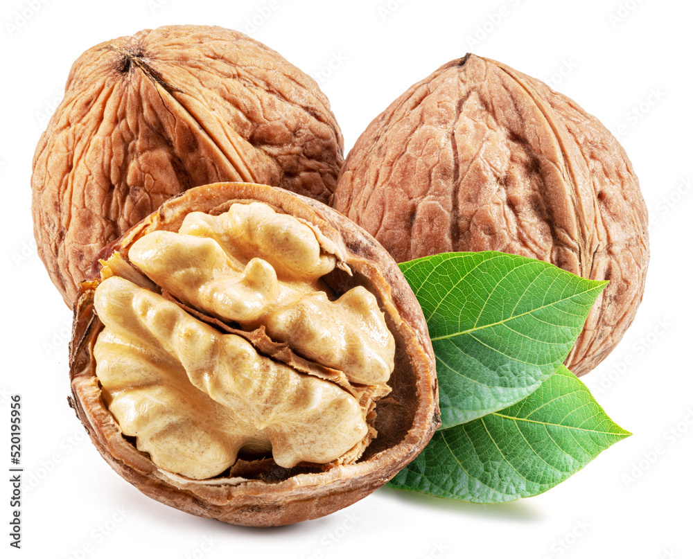 Fototapeta premium Walnuts, walnut kernel and green leaves isolated on white background.