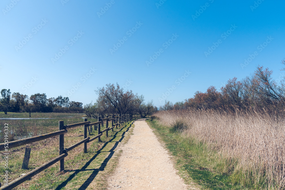 Path in the countryside (Parc Natural dels Aiguamolls de l'Empordà, Spain) Path in the countryside (Parc Natural dels Aiguamolls de l'Empordà, Spain)