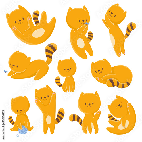 Collection illustration orange cute cat for design