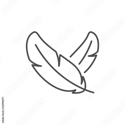 Bird feathers line outline icon
